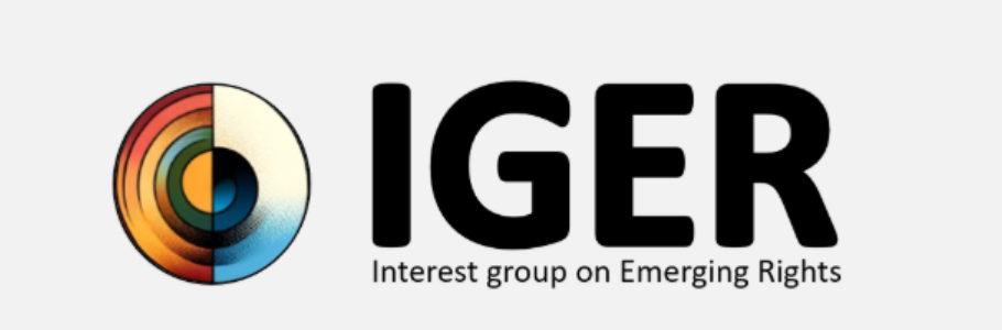 Third meeting of the ICON•S Interest Group on Emerging Rights. 